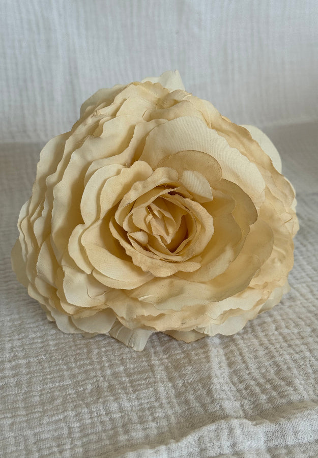 Rosa color beige