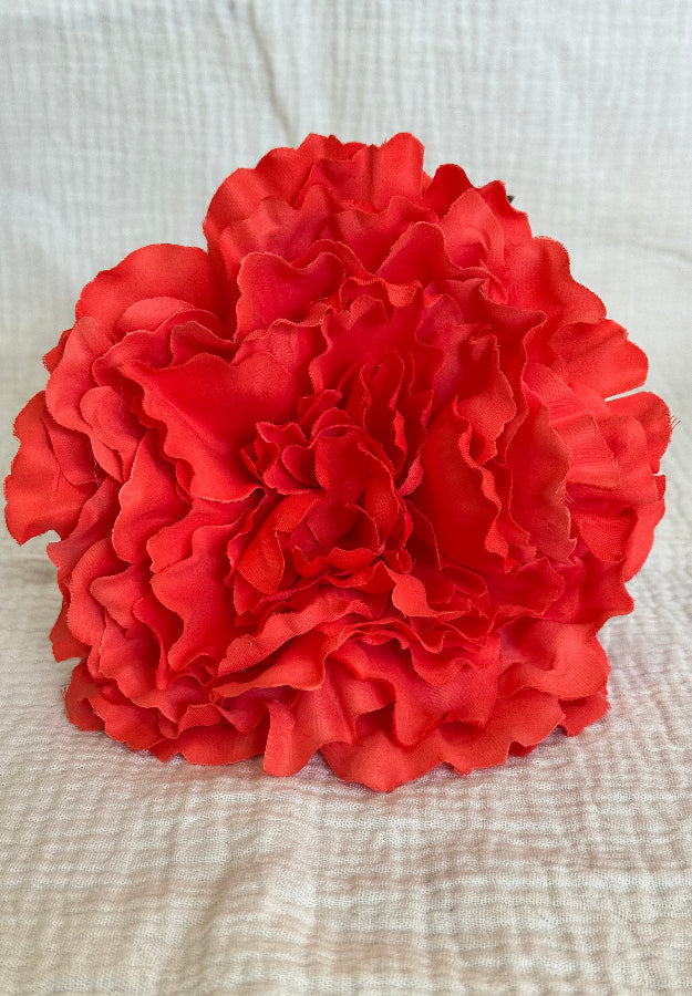 Peonia Coral