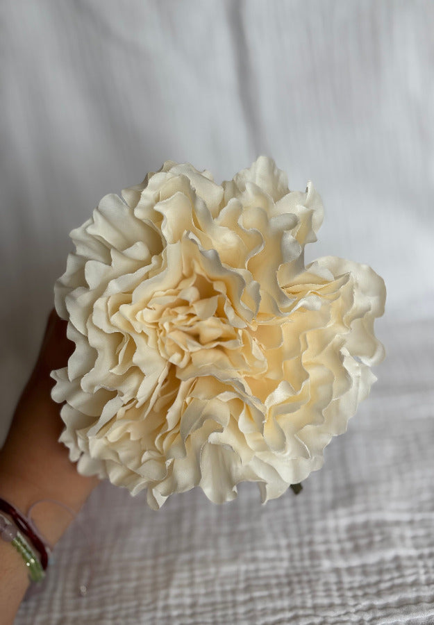 Peonia beige