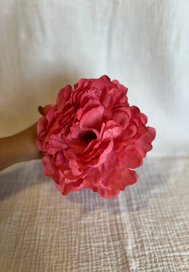 Peonia Reina Rosa Coral