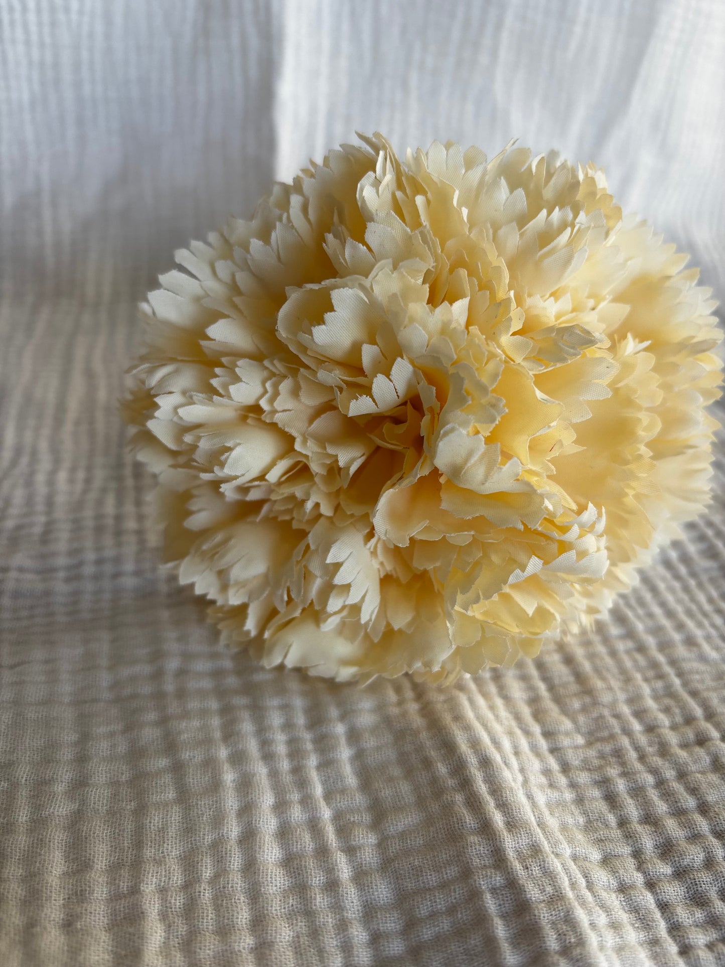Clavel beige