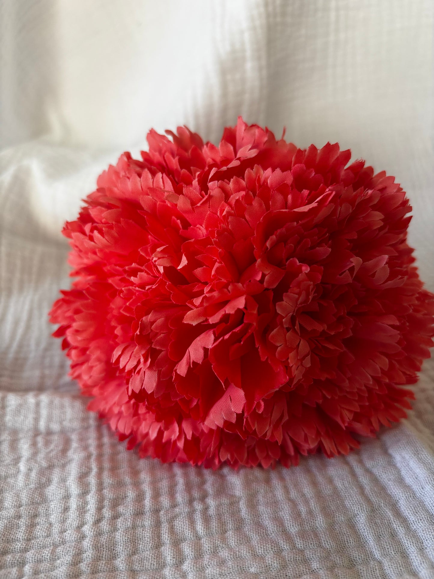 Clavel coral