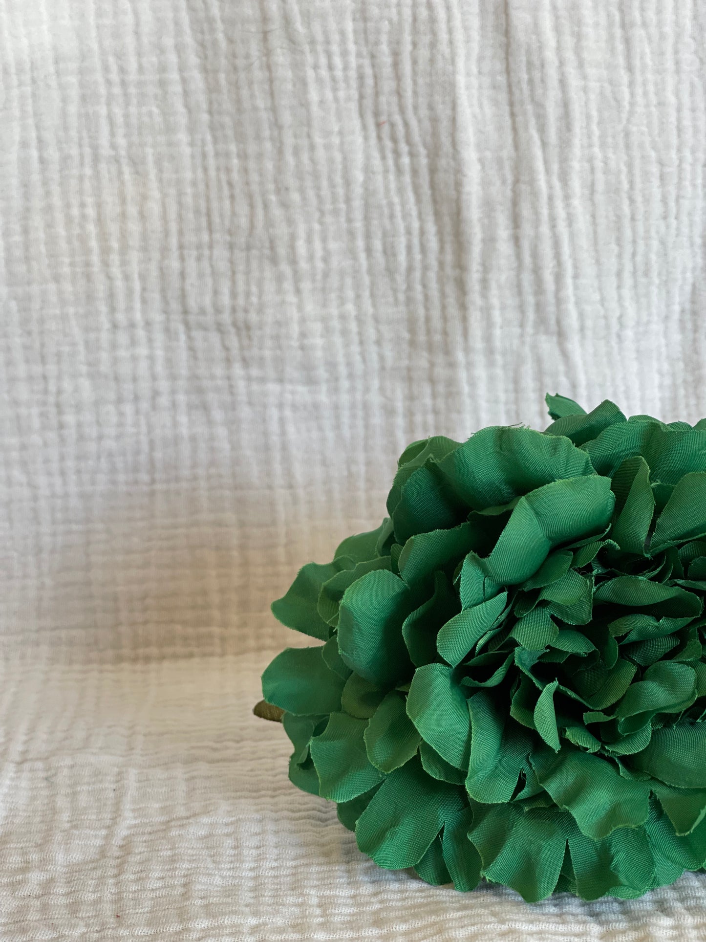 Rosa Cádiz Verde