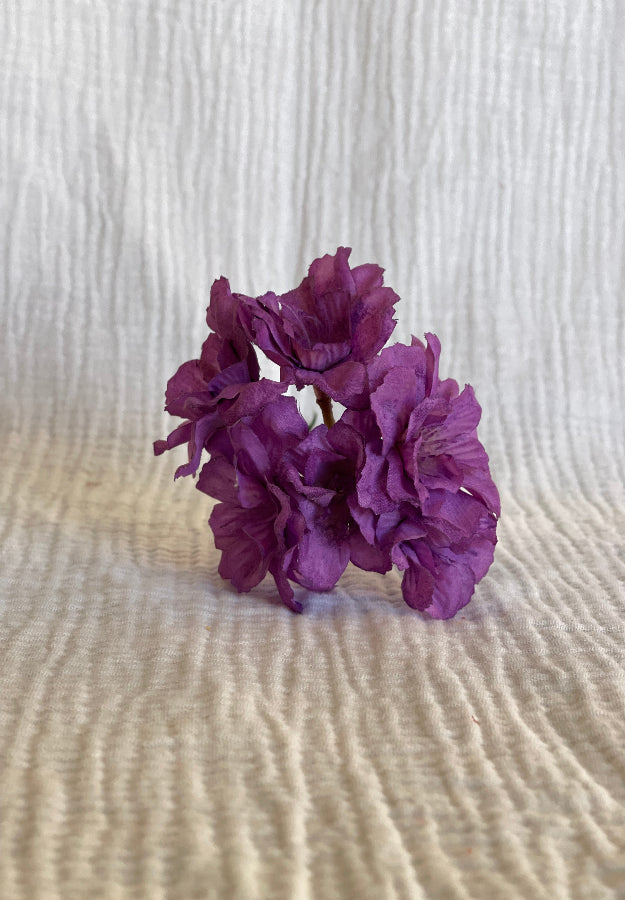 Cherry malva