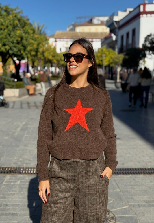 Jersey Marina Marrón