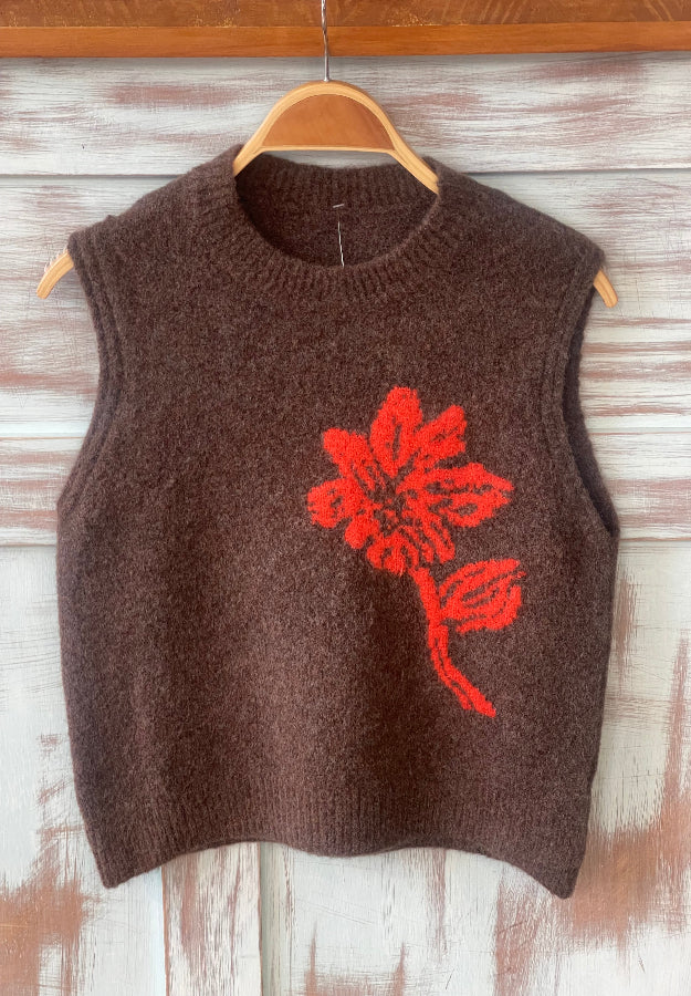 Jersey Paula Marrón