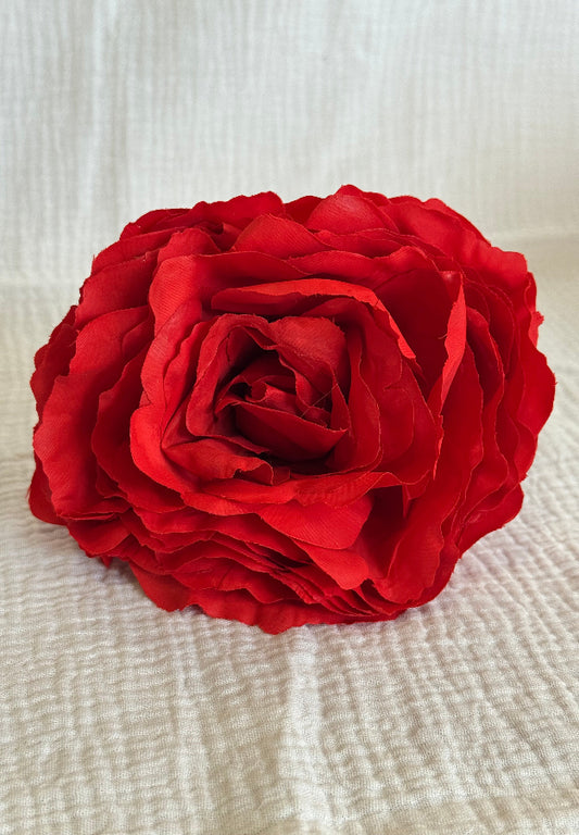 Rosa color roja
