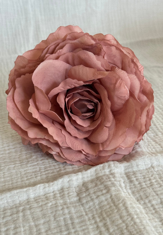 Rosa Color Maquillaje