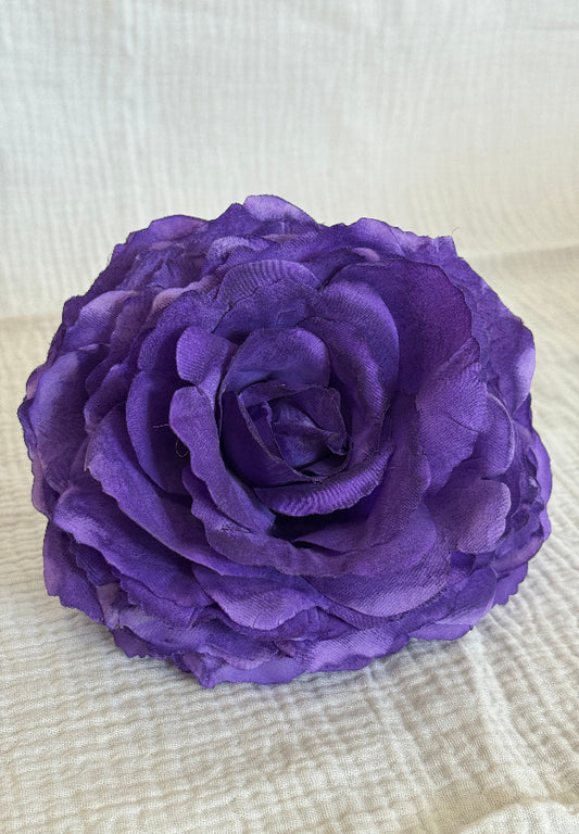 Rosa color morada
