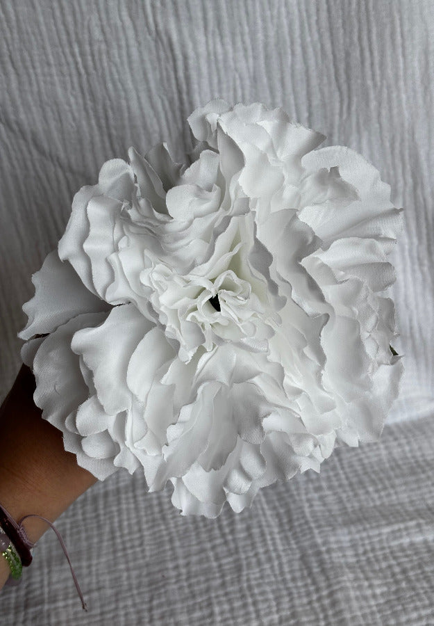 Peonia blanca