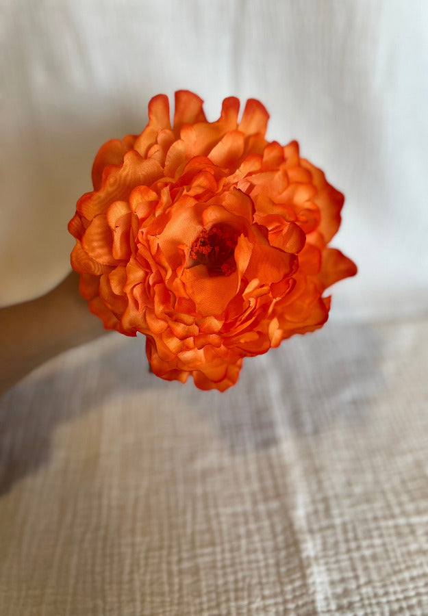 Peonia Reina Naranja