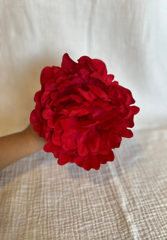 Peonia Reina Roja
