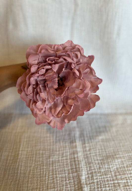 Peonia Reina Rosa Bebe