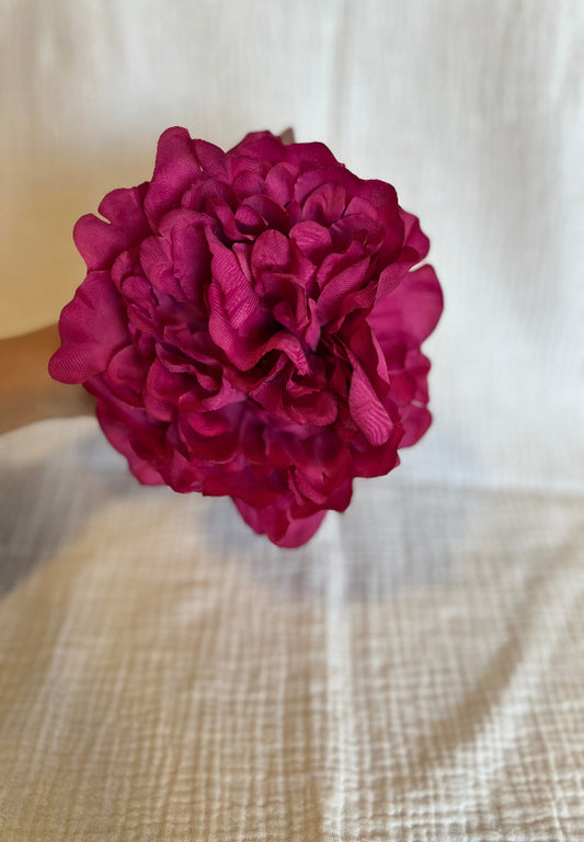 Peonia Reina Buganvilla