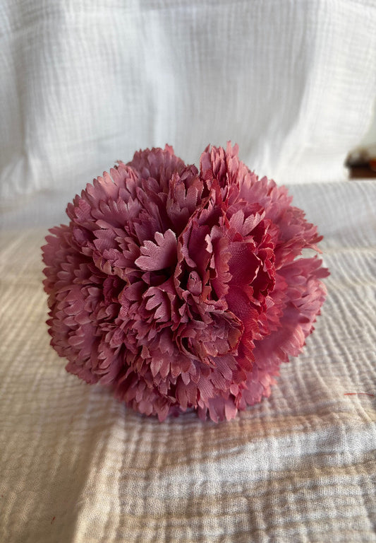 Clavel rosa bebé