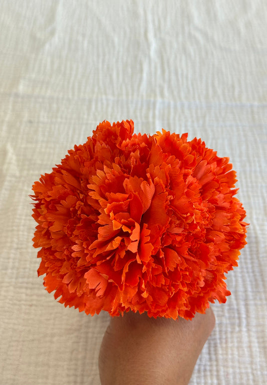 Clavel Naranja