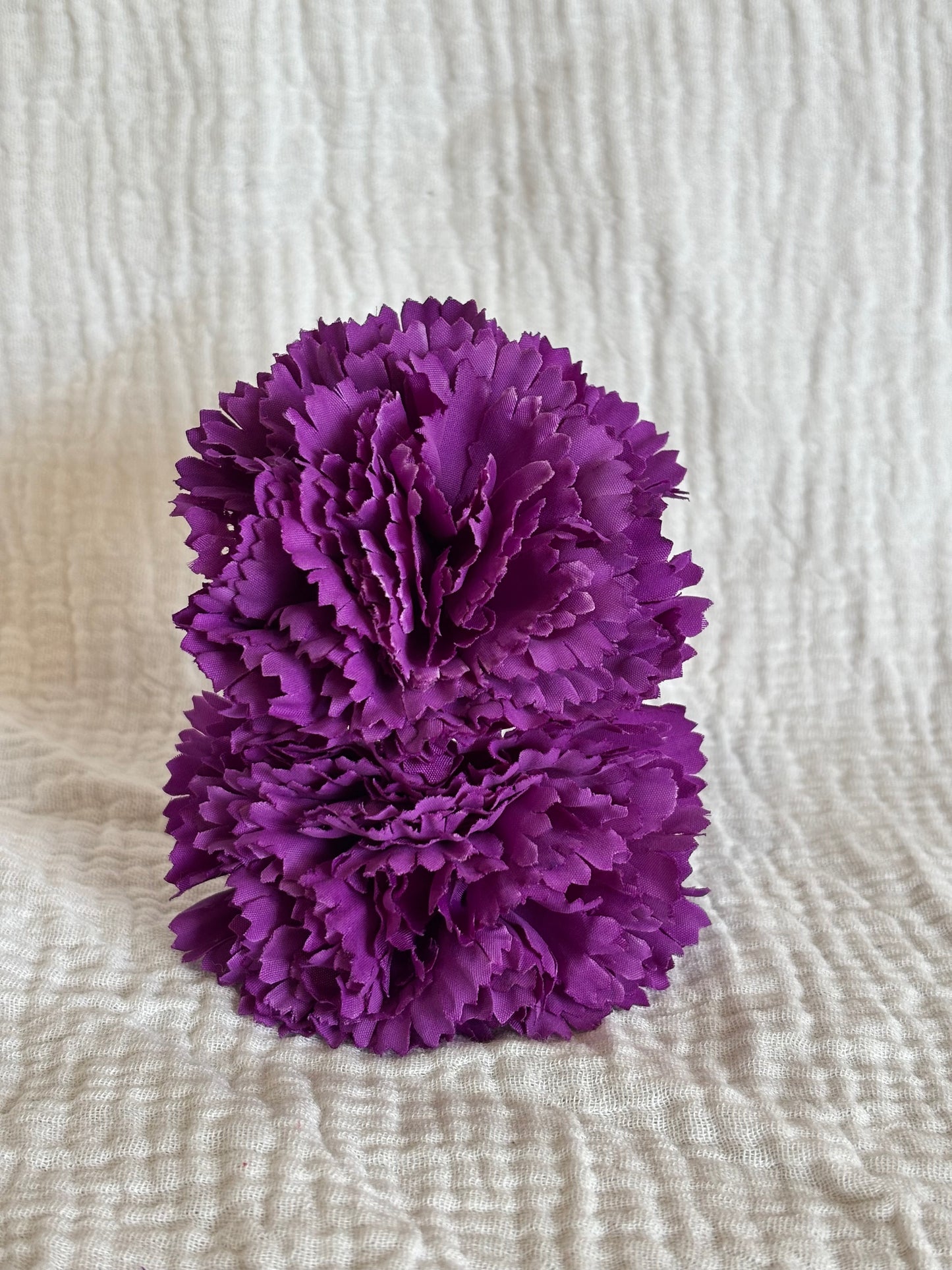 Clavel Mini Morado