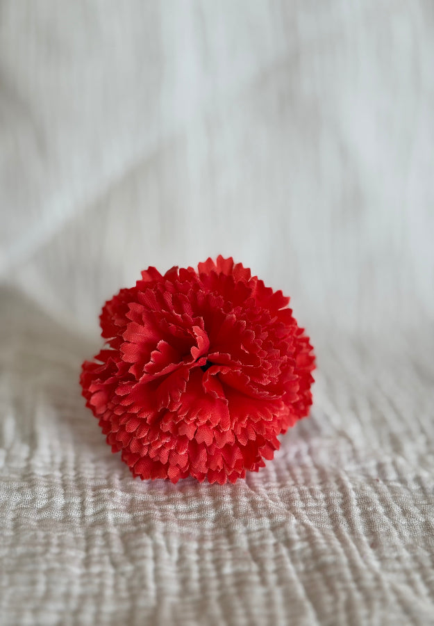 Clavel Mini Coral