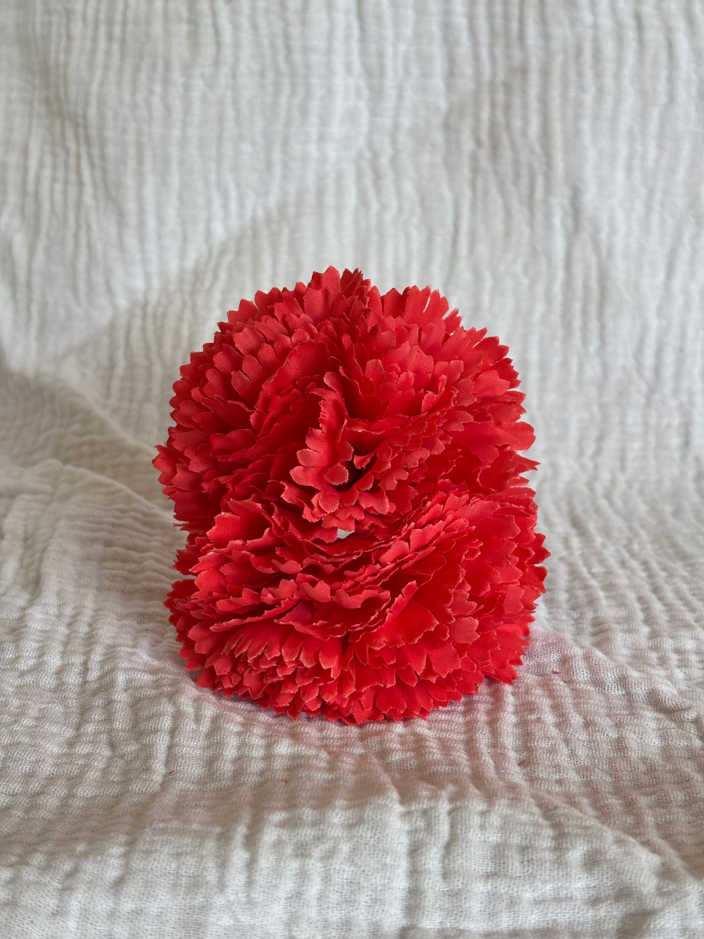Clavel Mini Coral