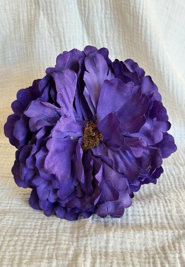 Peonia Sevilla morada