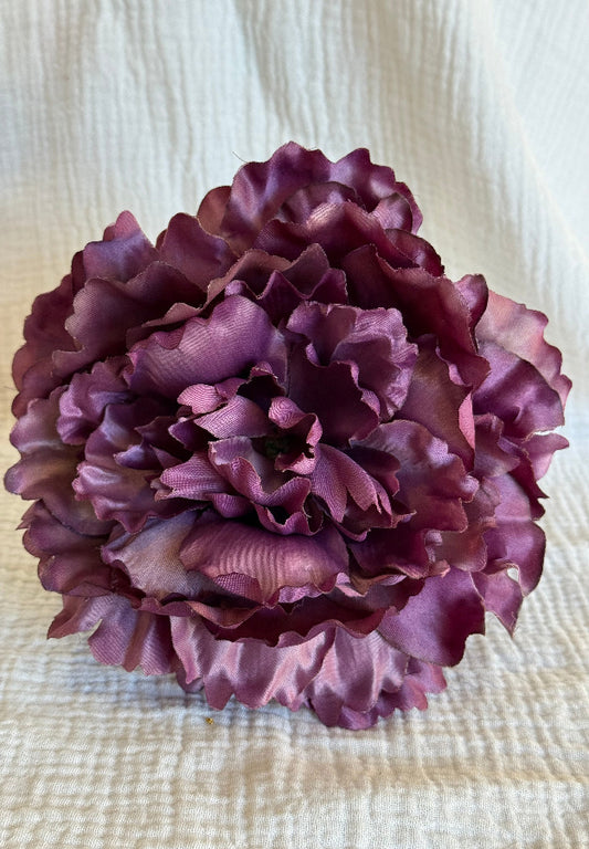 Peonia Sevilla malva