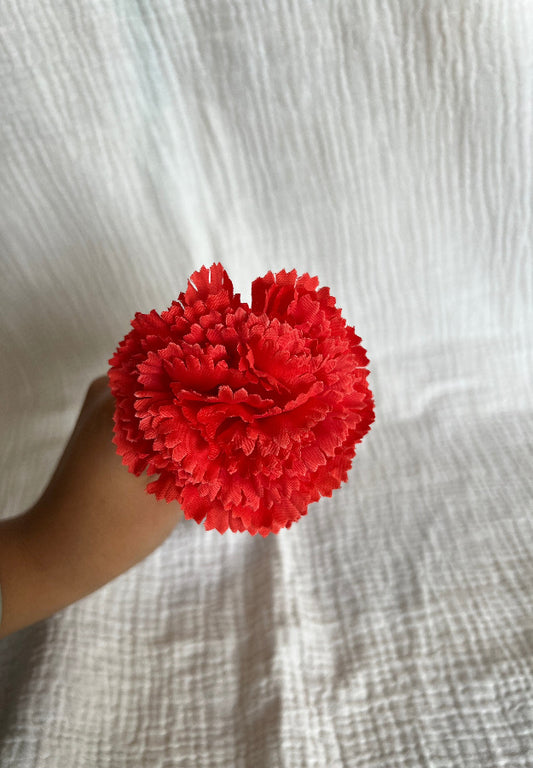 Clavel Mini Coral