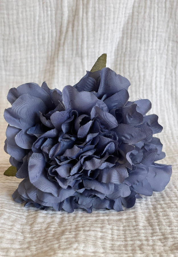 Rosa Cádiz Azul Vaquero
