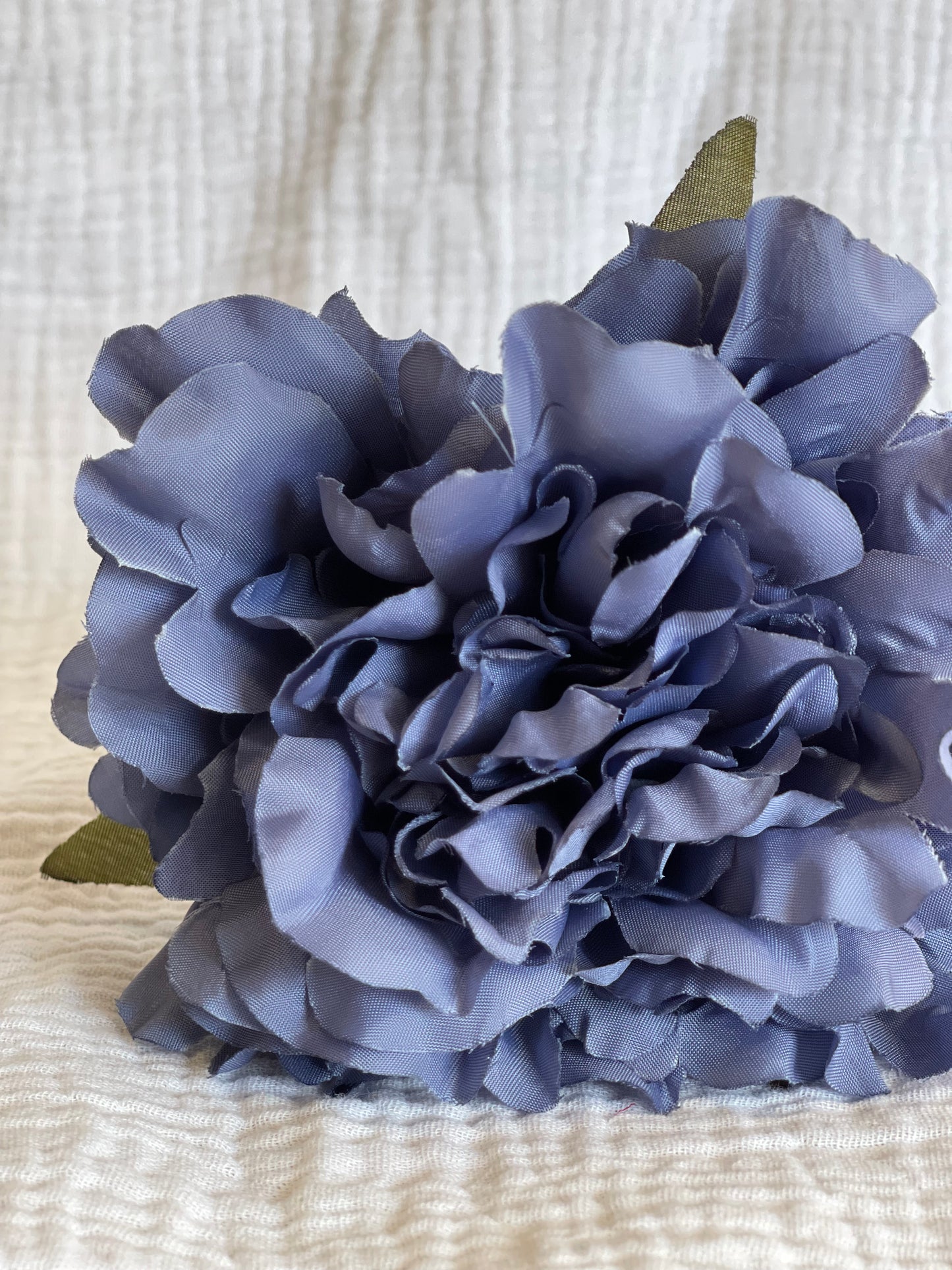 Rosa Cádiz Azul Vaquero