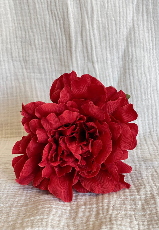 Rosa Cádiz Magenta Rojizo