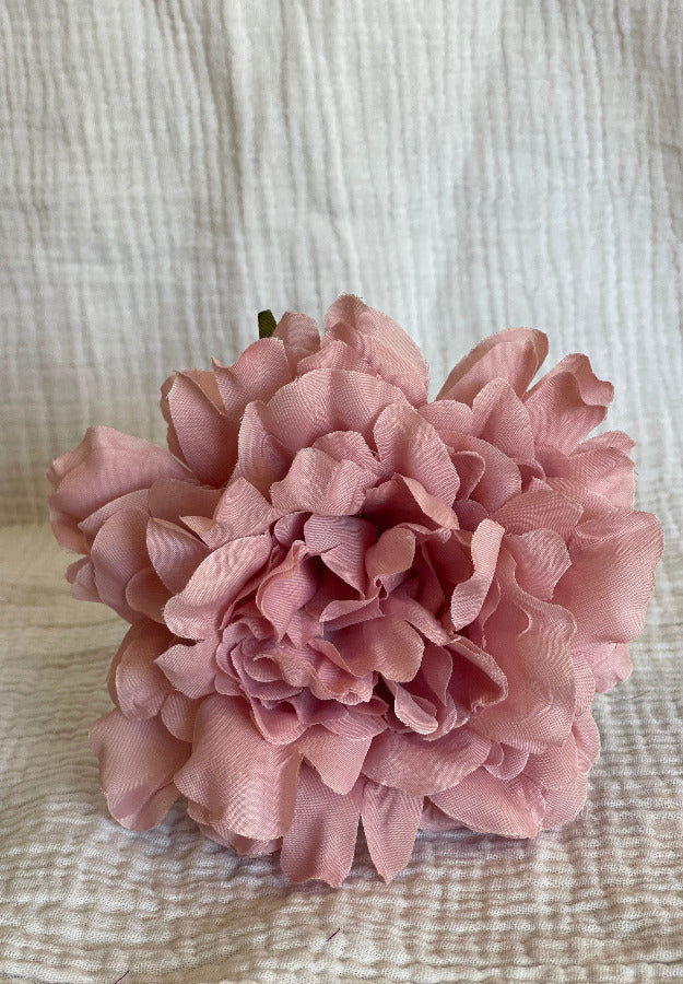 Rosa Cádiz Rosa Bebe