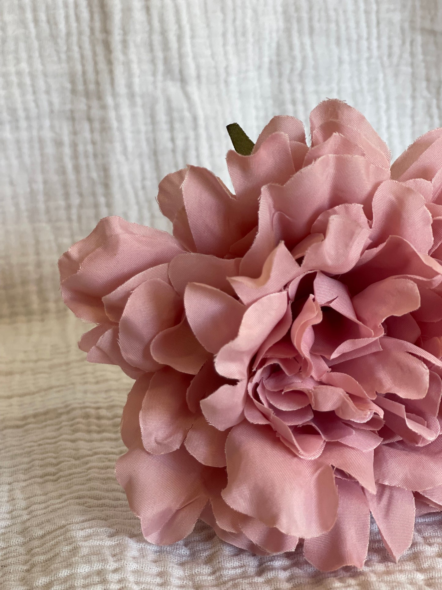 Rosa Cádiz Rosa Bebe