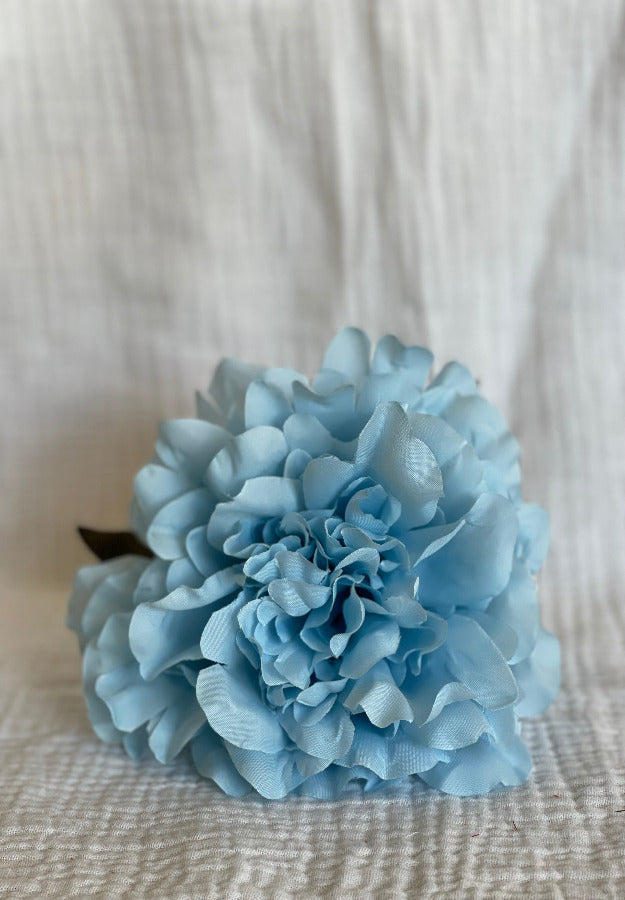 Rosa Cádiz Azul Cielo