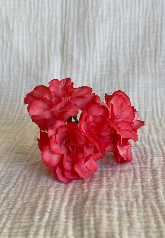 Cherry coral