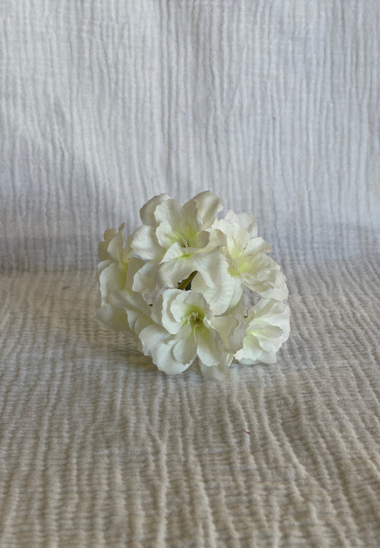 Cherry blanca