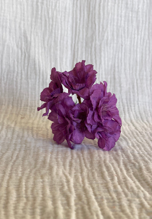 Cherry malva